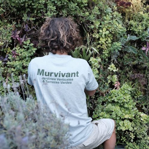 murvivant murvivant