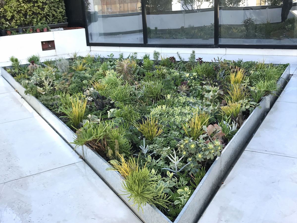terraza